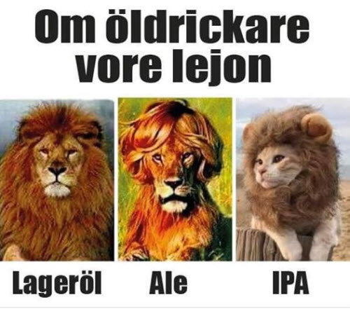 Tredelad bild på lejon med olika manar, märkta "Lageröl", "Ale", "IPA", humoristisk jämförelse med ölsorter.