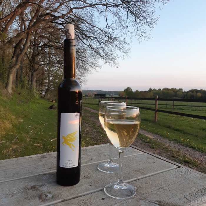 Flaska och glas med vitt vin på ett träbord utomhus med en lantlig äng i skymningen i bakgrunden.