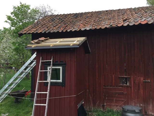 Rött trähus med öppen taklucka och stege, hög takhöjd, omgivet av grönska.