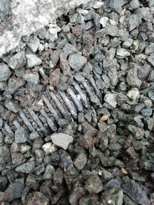 Ett övervuxet brunnslock omgivet av makadam upptäckt under grävarbete för ett spabad, nära husets fasad.