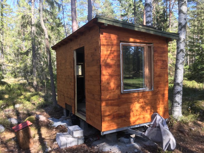 Nyinstallerade fönster och nymålat träfasad på ett litet skogsstuga under uppbyggnad med omgivande träd.