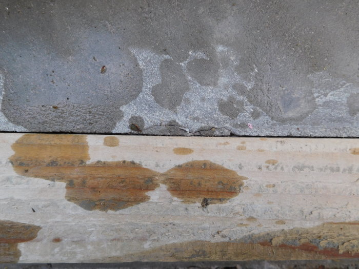 DSCN6523.JPG