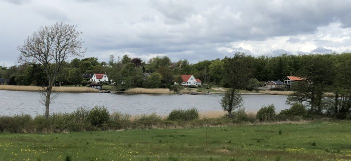 Vy över en vik med hus i förgrunden och vatten och gröna fält med dandelions.