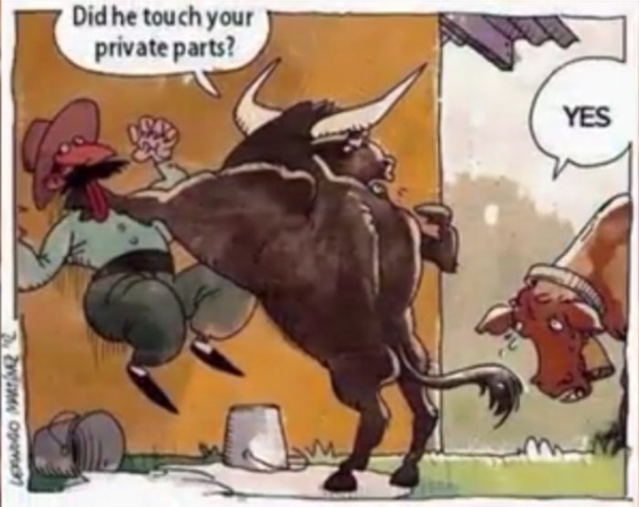 Tecknad bild av en tjur och en ko med pratbubblor, ko svarar ja på en fråga om beröring.