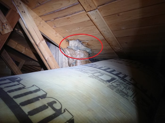 Synlig skada på trät med tecken på gammal fuktskada nära en öppning i taket omgiven av isoleringsmaterial och wellpapp.
