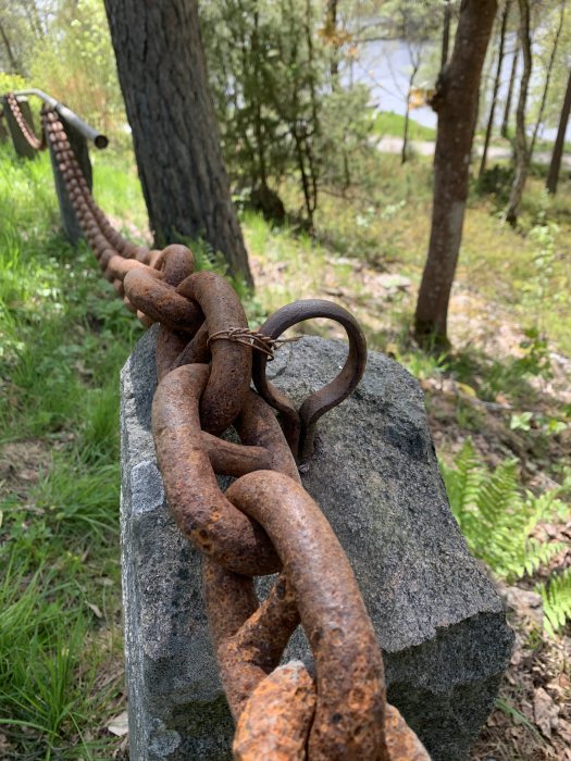 Rostig kätting fäst med en mindre ring till en stor ögla på en sten, i en skogsliknande miljö.