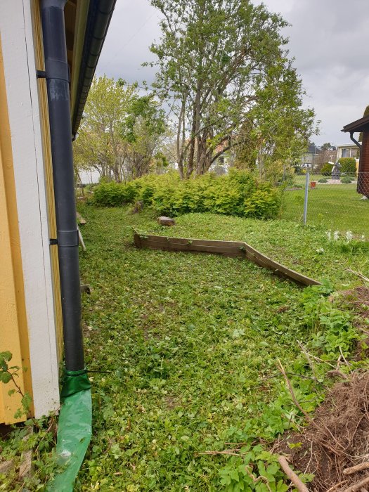 Utgrävd plats för stenläggning och beskuren växtlighet vid gult skjul.