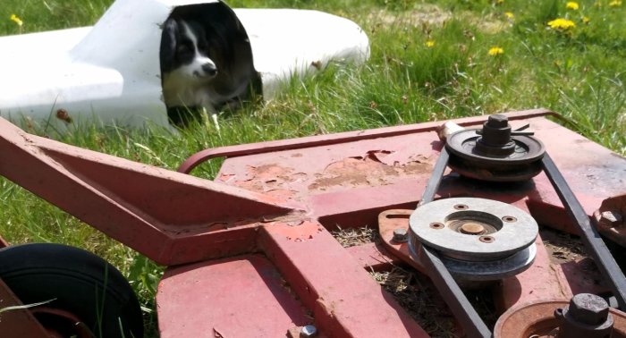 Klippdäck med nya remmar och en hund i bakgrunden som medhjälpare.