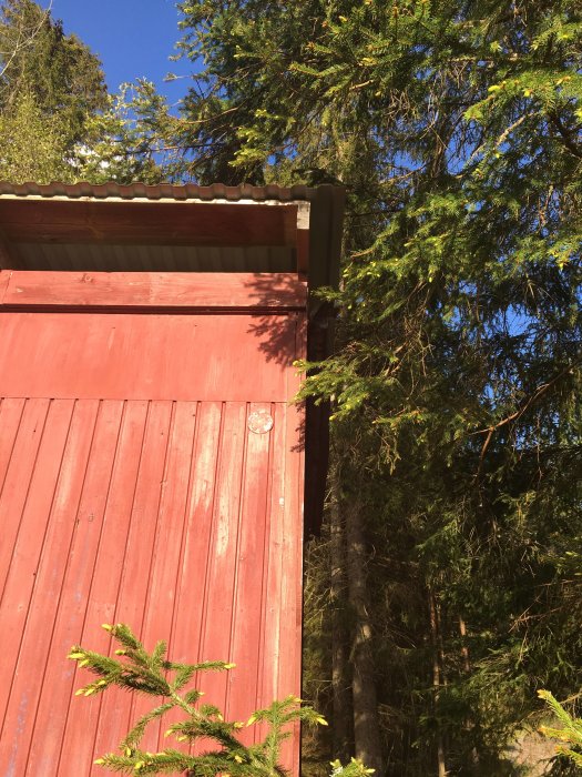 Slitet rött plank med plåttak ovanför, omgivet av träd, synliga tecken på åldring och slitage.