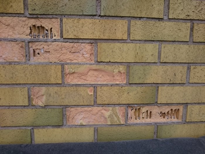 Tegelvägg med skadade tegelstenar som uppvisar tecken på frostsprängning, med synliga hålrum.