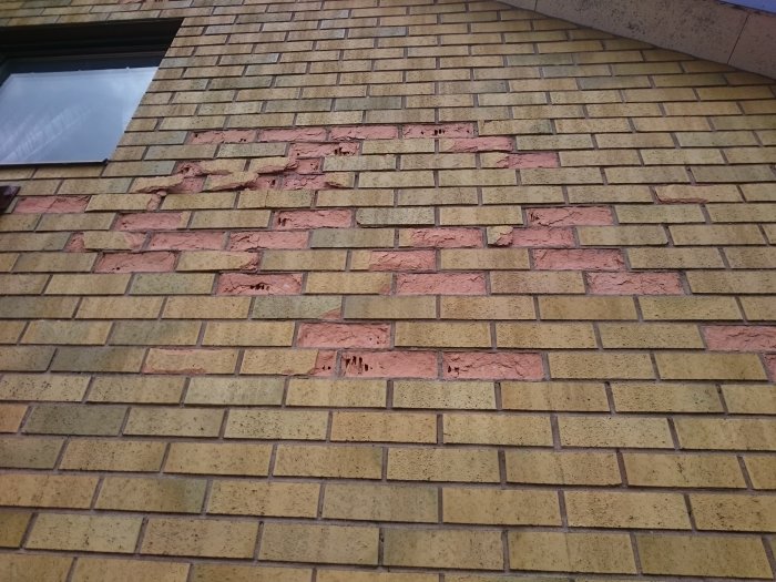Skadat tegel på husvägg med tecken på frostsprängning och exponerade hålrum.