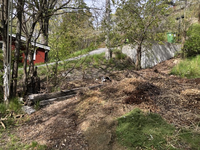 Oorganiserad hög med grenar och löv på påbörjat kompostområde med röd stuga i bakgrunden