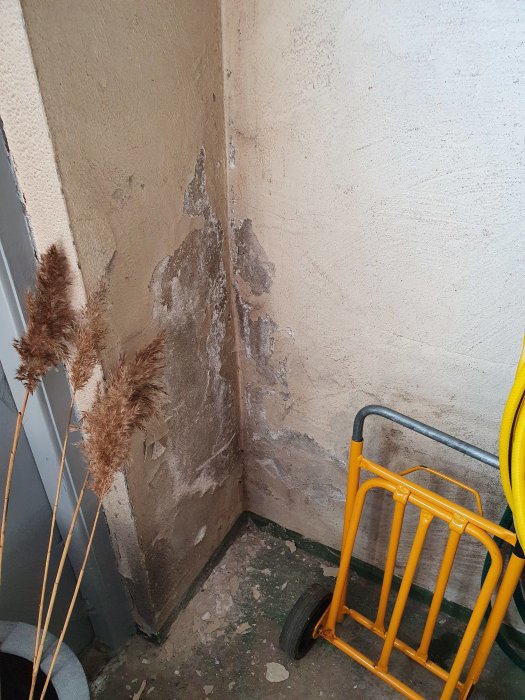 Fuktrelaterade skador på en yttervägg med avflagande färg och bubblor i ett hörn av ett garage.