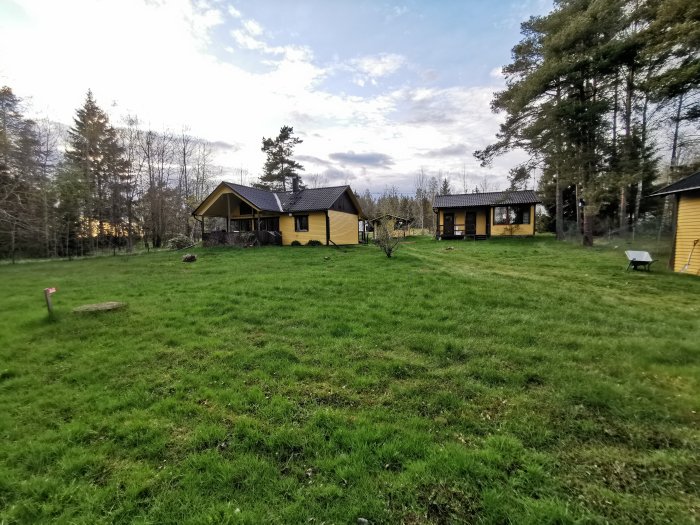 Solbelyst grönt gräsmatta framför gästhus utan Thujaträd, med avsågad stubbe och skottkärra i hörnet.