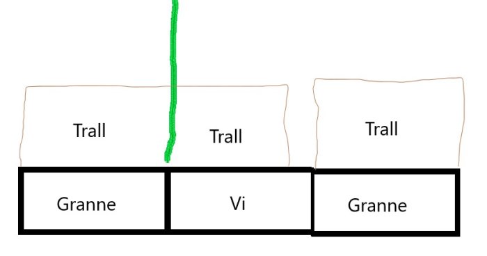 Schematisk bild av tomtindelning markerad "Trall" och "Granne" med en grön linje som gräns.