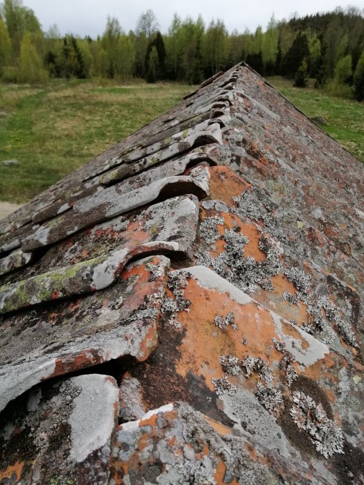 Åldrade takpannor på ett uthus utan nockpannor, med synlig överlappning och mossbeläggning.