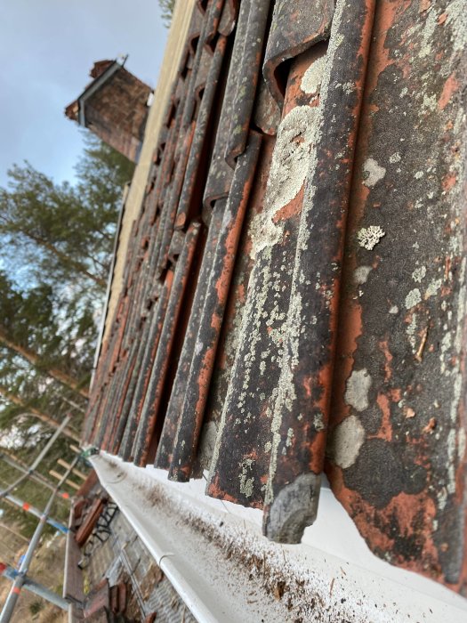 Ojämnt lagda äldre tegelpannor på ett hustak med synlig läkt och takduk, vid en byggnadsställning.