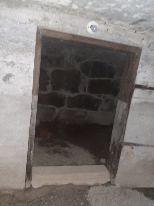 Bild på en grov, öppen trappa i betong och sten som leder ner till en källare eller ett utrymme under ett hus.