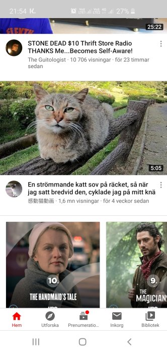 Katt ligger avslappnad på en trädstam i en grön trädgårdsmiljö.