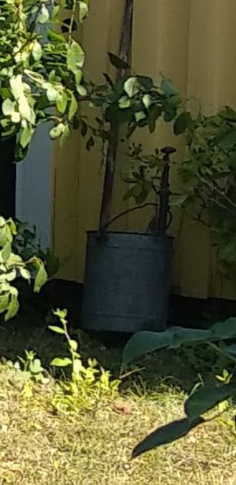 Gammal hink på fötter med hål i botten och ett pumphandtag, placerad i en trädgård.