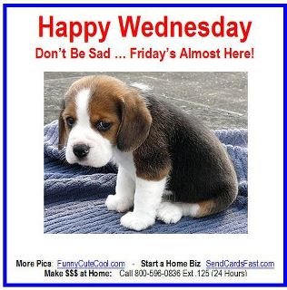 Söt beaglevalp sitter på ett grått underlag med texten "Happy Wednesday - Don't Be Sad ... Friday's Almost Here!