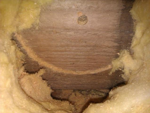 IMAG0240.jpg