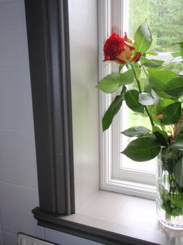 Fönsterbräda.jpg
