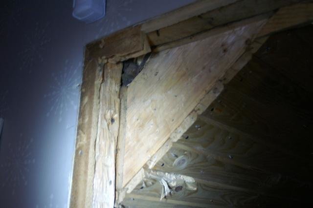 PICT9479.jpg