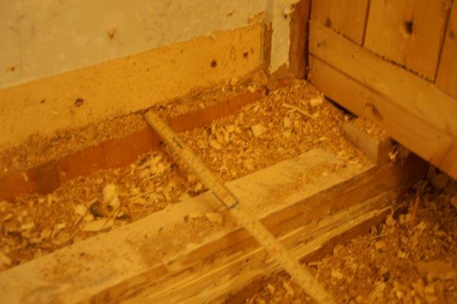 PICT9473.jpg