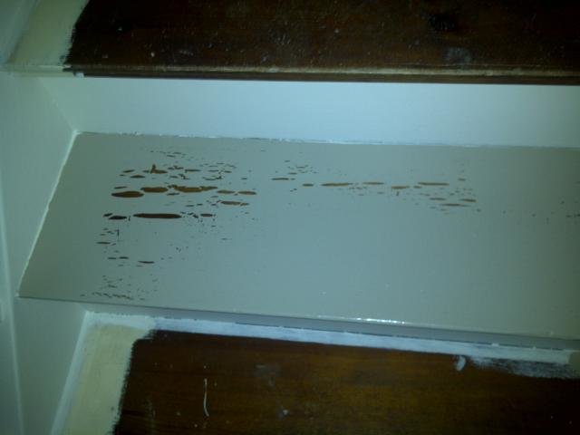 IMG-20110202-00003.jpg