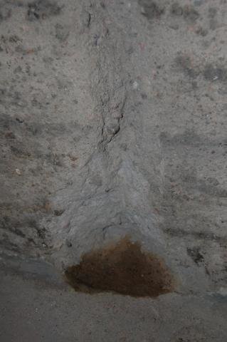 DSC_4825_resize.jpg