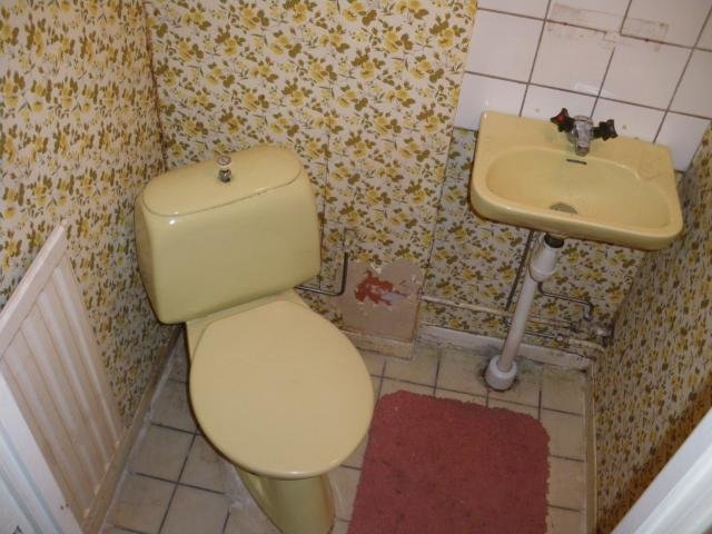 IMGP0373.jpg