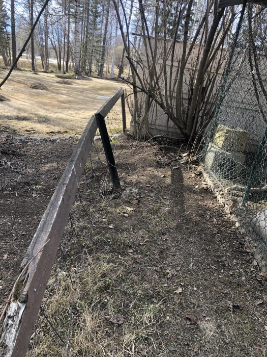 Gamla, sneda metallstolpar och betongplintar i en trasig staketrad längs en trädgård.