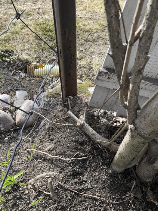 Gammal betongplint med sne metallstolpe och rötter i en trädgård, indikation på ojämn mark.