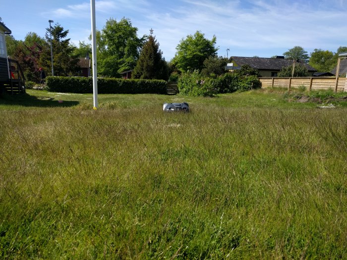 Robotgräsklippare i en övervuxen trädgård med högt gräs, träd och staket i bakgrunden.