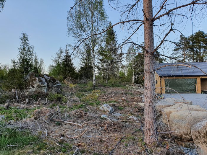 Ojämn tomt med stockar, stubbar och stenar nära en skogsbryn och nyligen byggt garage.