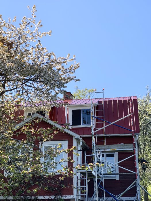 Renoverat rött hus med vita knutar och nytt tak, omgivet av blommande träd, komplett med byggnadsställningar.