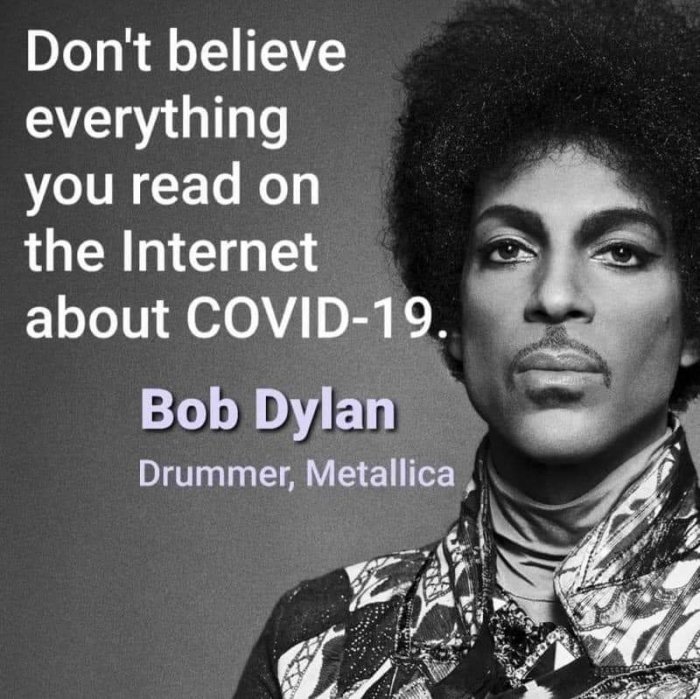 Fotomontage med text "Don't believe everything on the Internet about COVID-19" ovanför en bild av Prince, felaktigt attribuerad till Bob Dylan från Metallica.