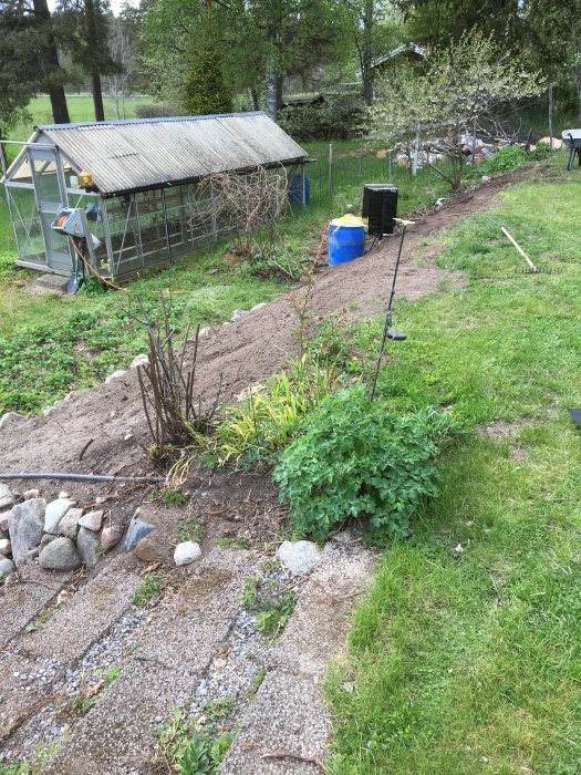 Nygrävd slänt vid en trädgård med växthuset och verktyg synliga.