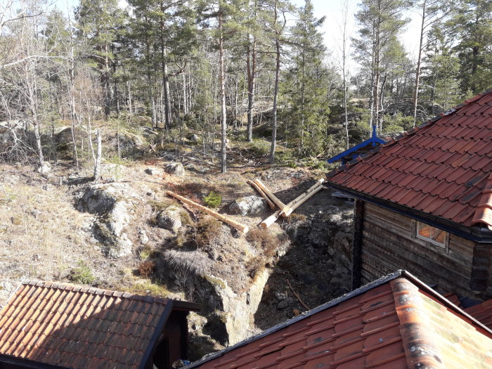 Barkade tallar på marken bredvid röd tegeltäckt byggnad, förberedda för att bli altanstolpar.