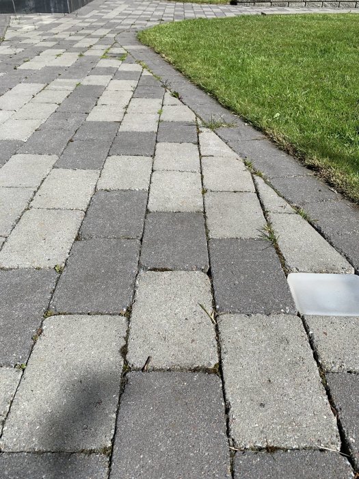 Förskjutna kantstenar bredvid en gräsmatta med synliga glapp och växtlighet i fogarna på en trottoar.