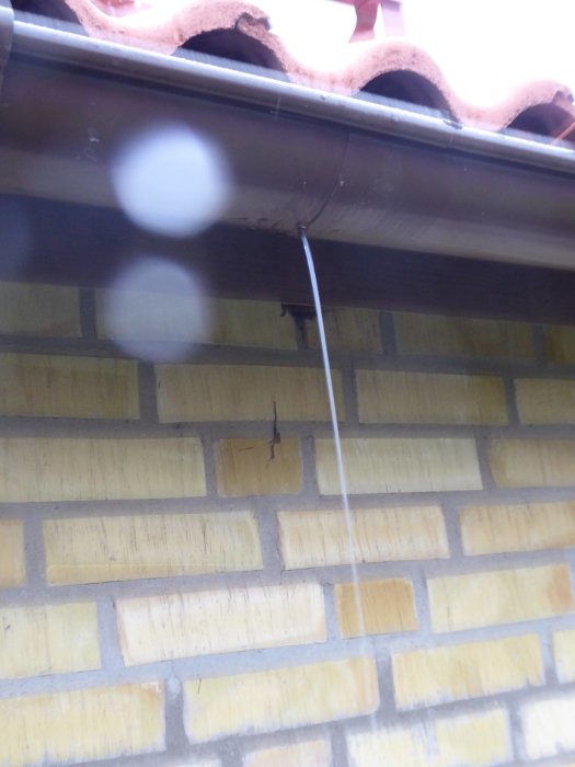 Vatten läcker från takränna ner på en gul tegelvägg.