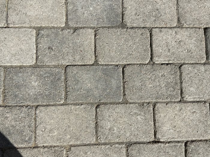 Gatsten som lossnat från en trottoar efter användning av lövblåsare.
