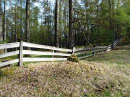 Vitt trästaket med tre horisontella brädor i skogsmiljö med stenig mark.