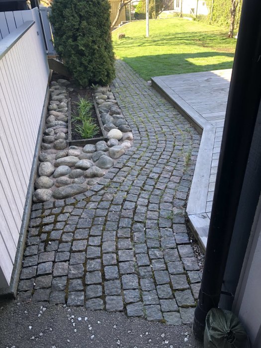 Gångstig med kullersten och rensade rabatter mellan stora stenar vid ett hus.