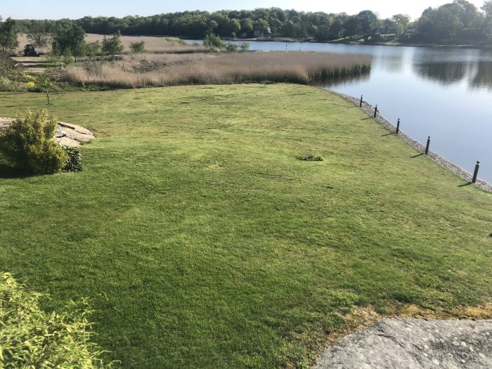Välhållen gräsmatta med några kala fläckar bredvid en gångstig och en sjö.
