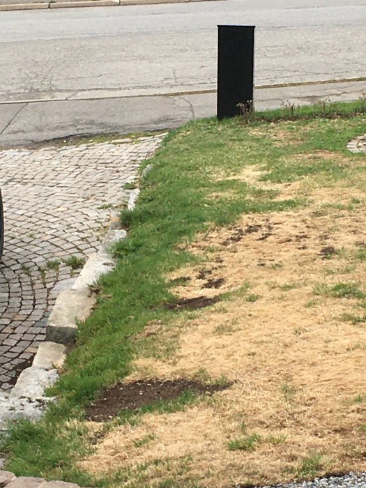 Trädgårdsyta med gräsmatta och kantstenar intill en trottoar, potentiell plats för marktäckande växter.