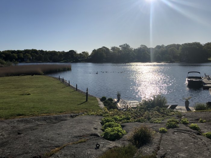 Sjölandskap med gräsmatta och brygga, fåglar på vattnet och parkerad båt i solljus.