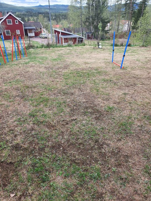 Ojämn gräsmatta med gles gräsbeväxtning, fotbollslekställning i bakgrunden och röda hus.