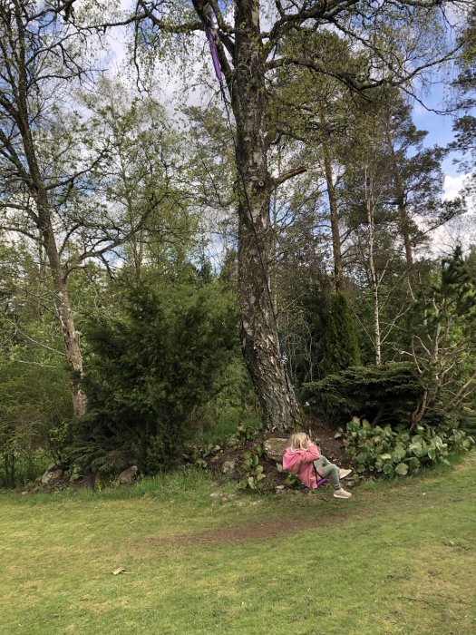 Gunga hängande från ett träd i en grönskande trädgård med en person som sitter på den.